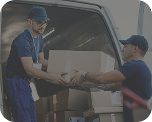 Mutări www.gikutransport.md