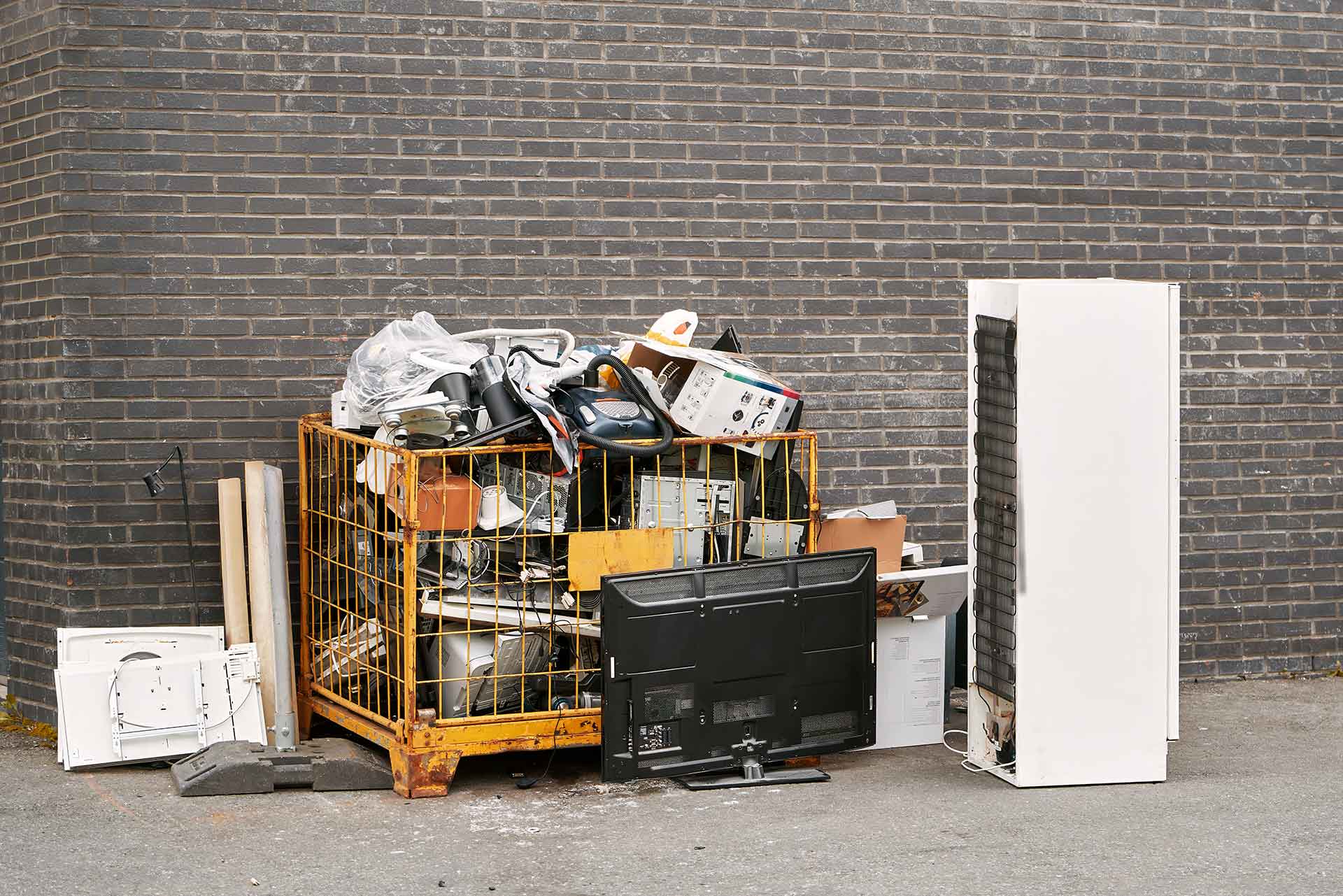 patter www.gikutransport.md